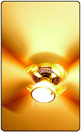 Scotty Electric Electrician Services Providing Ceiling Fan