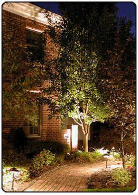 Scotty Electric Electrician Service Landscape Lighting Services